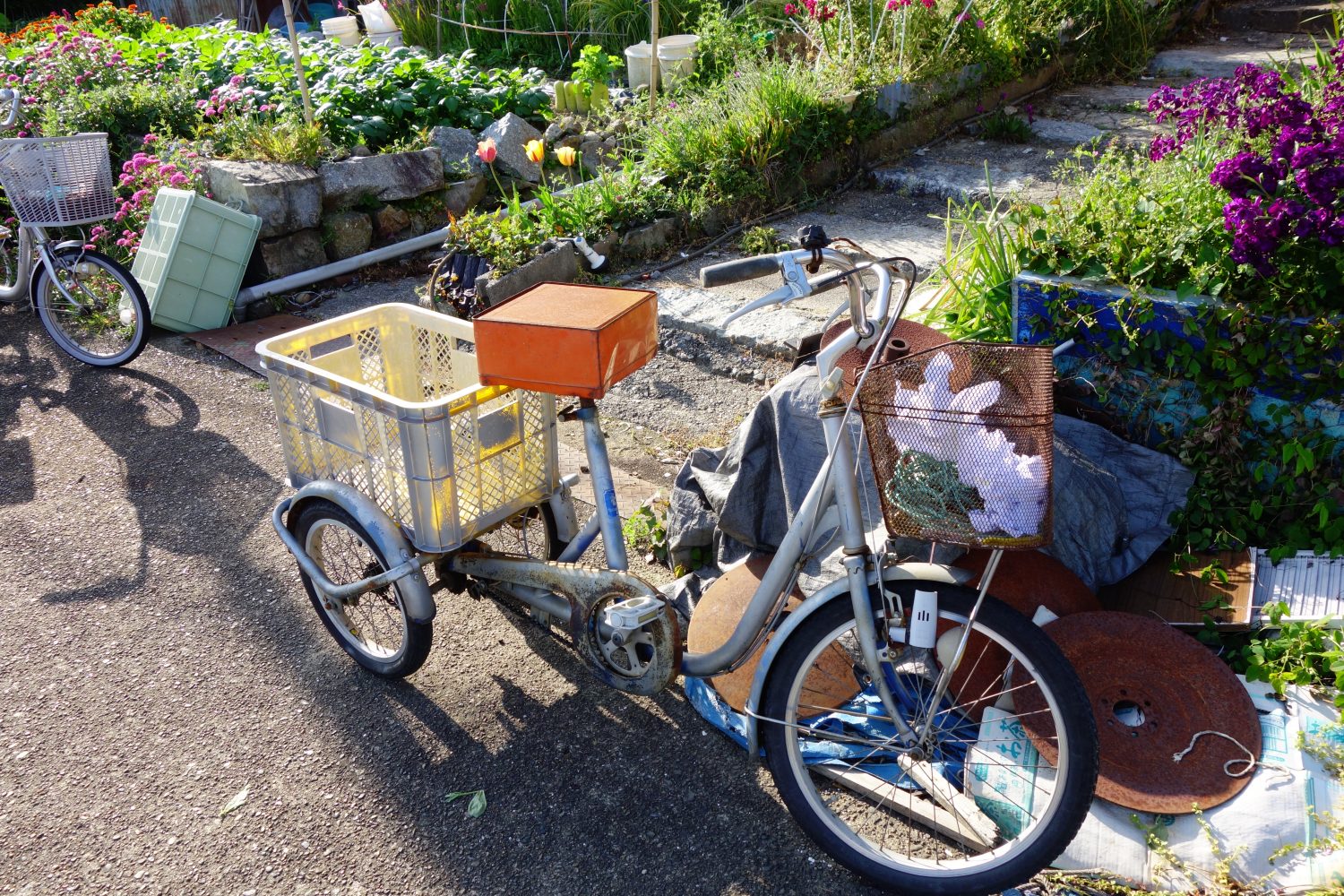 琵琶湖に浮かぶ有人離島「沖島」へ行ってきた