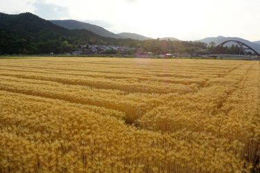 南郷とその周辺の景色いろいろ