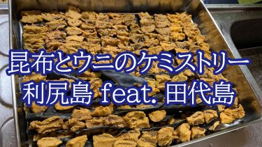 昆布とウニのケミストリー 利尻島 feat. 田代島　